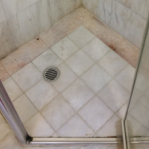 Shower Regrouting